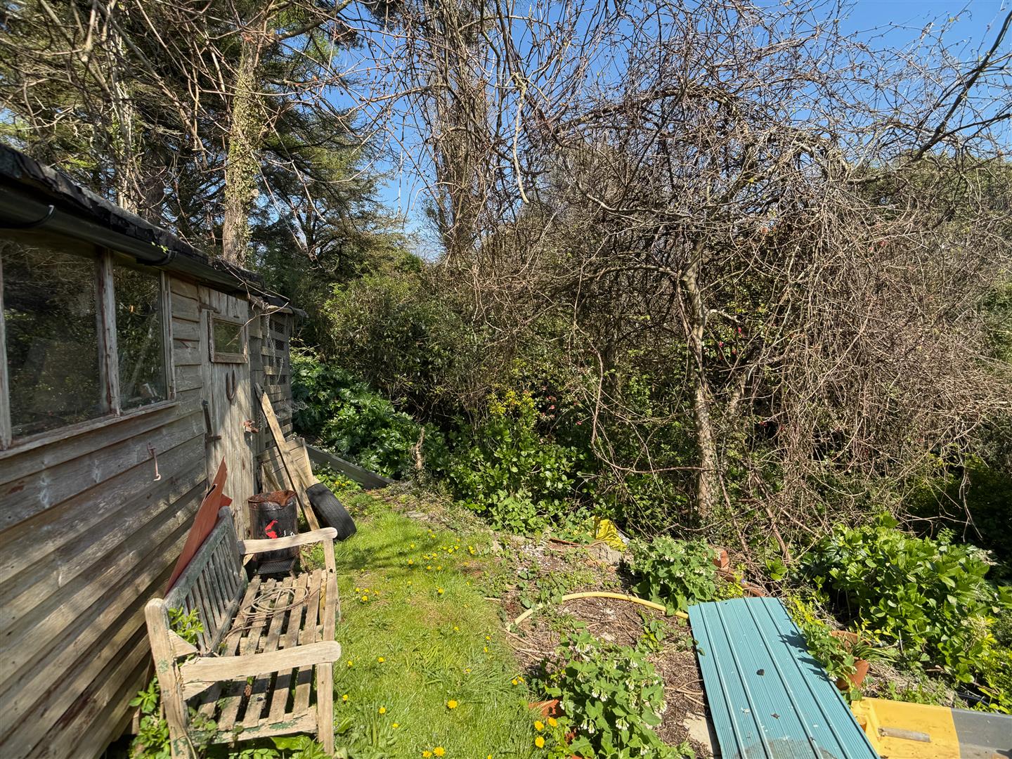 Property Image 51