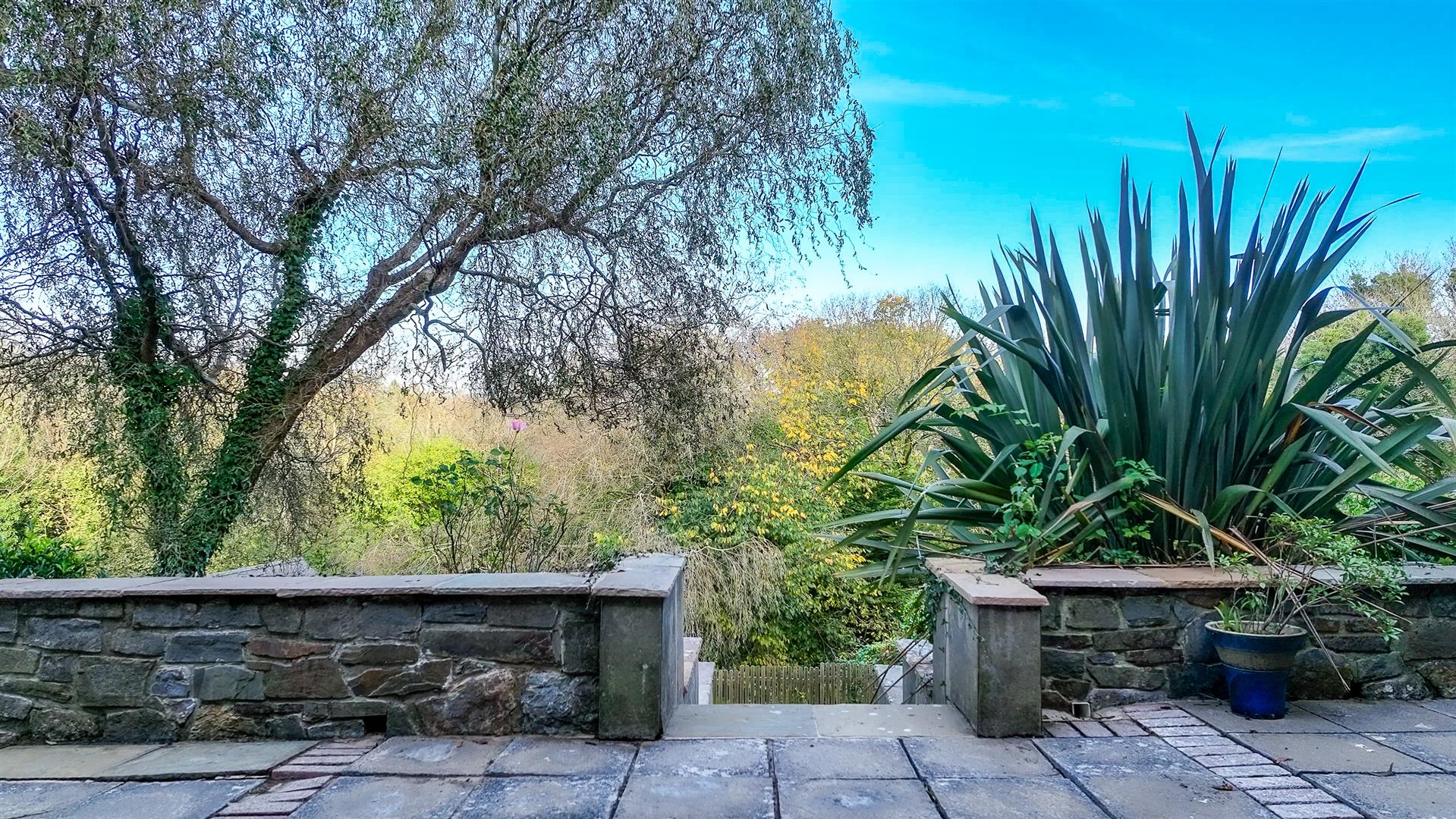 Property Image 49