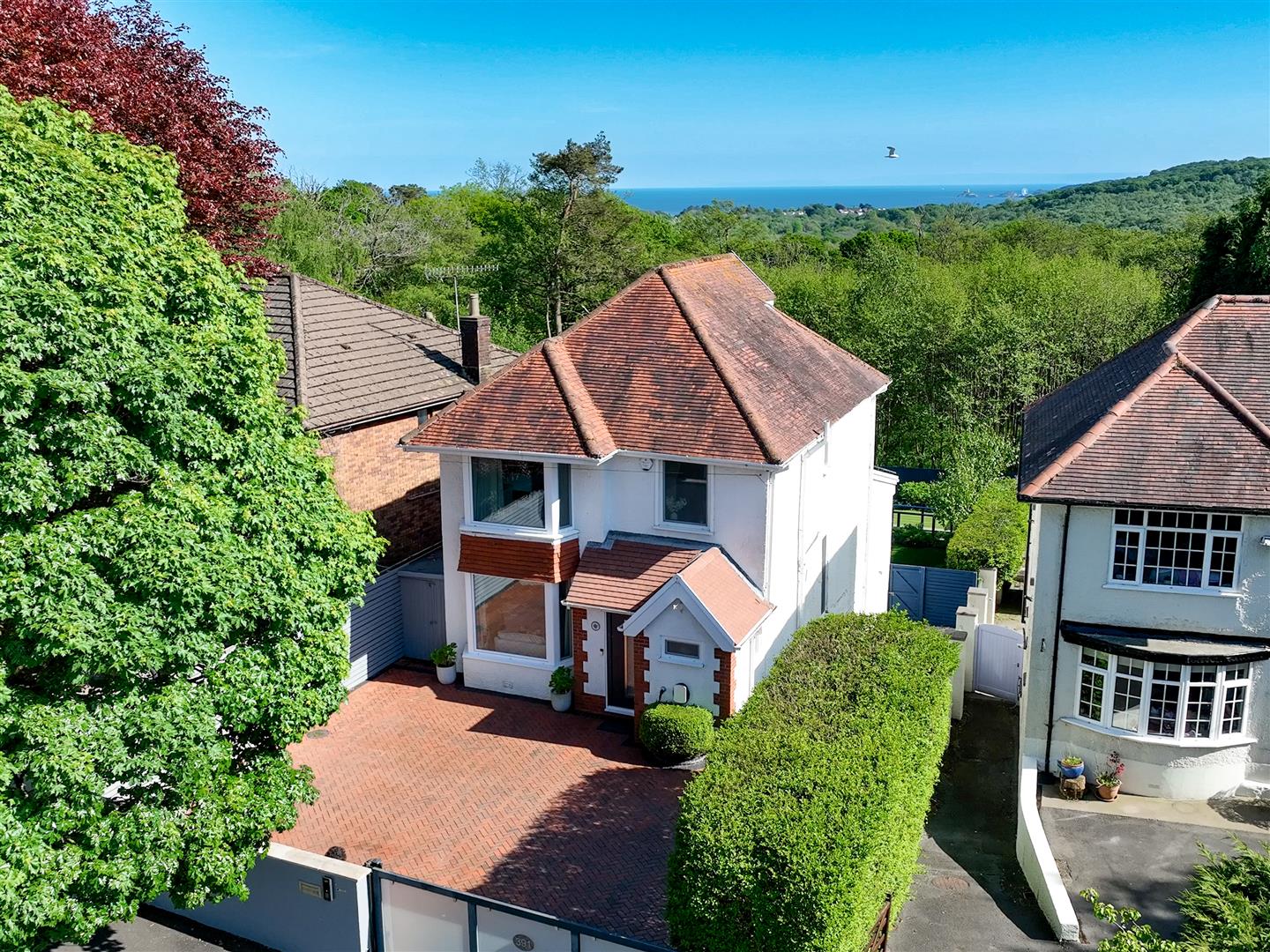 Property Image 50