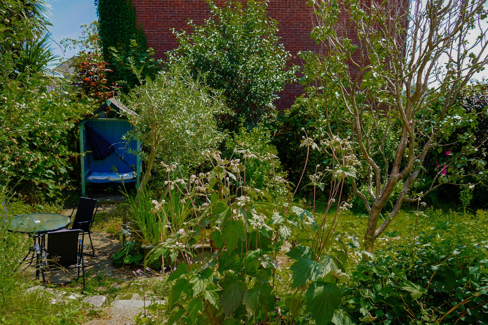 Property Image 34