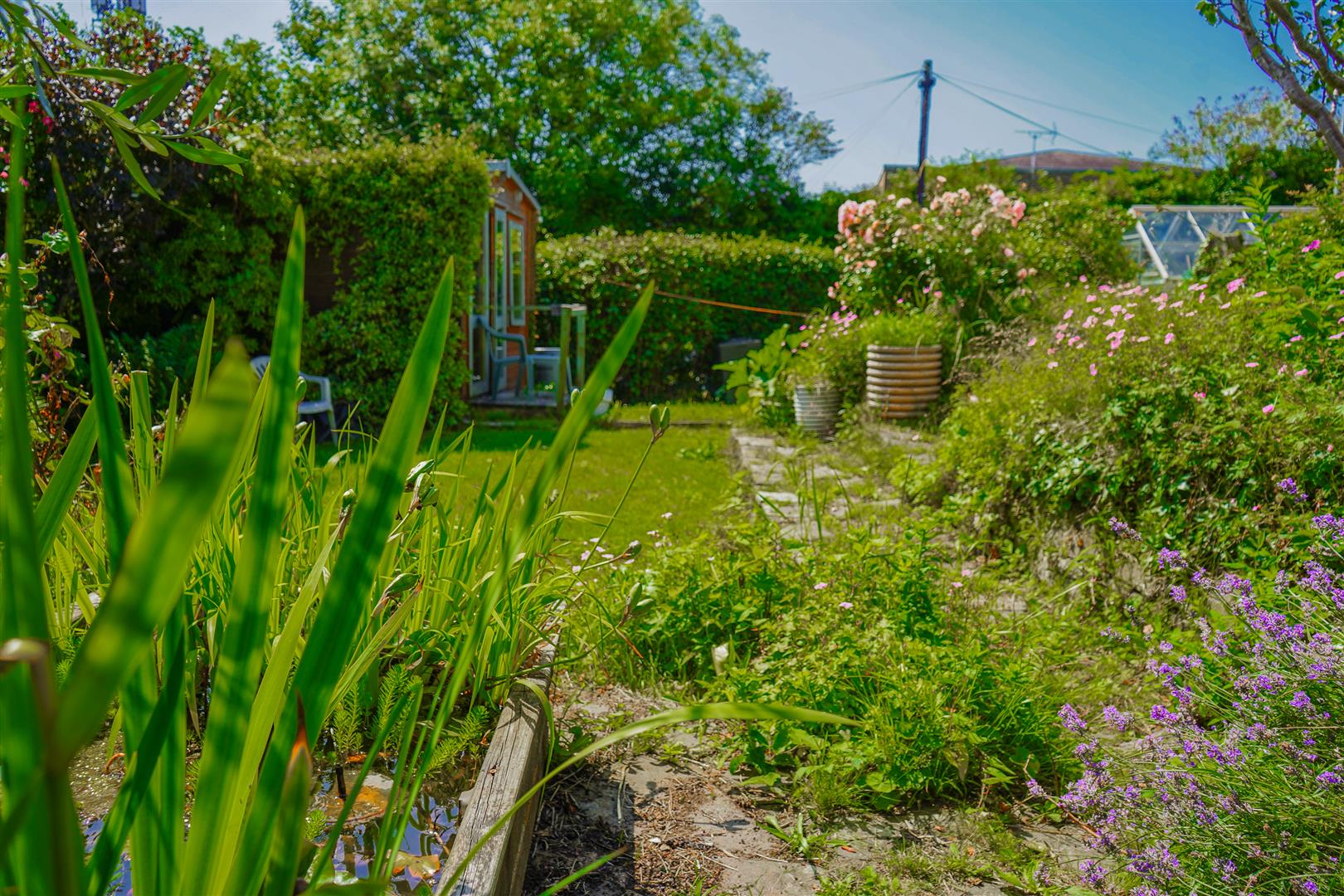 Property Image 36