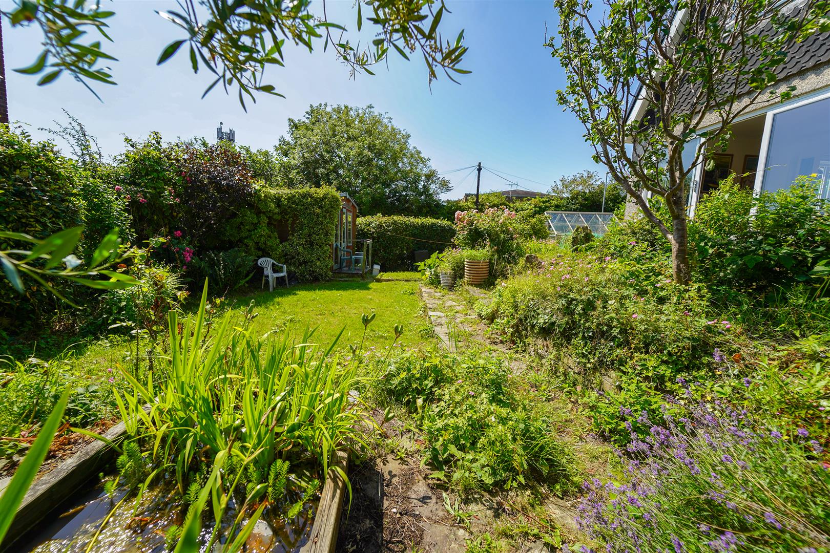 Property Image 39