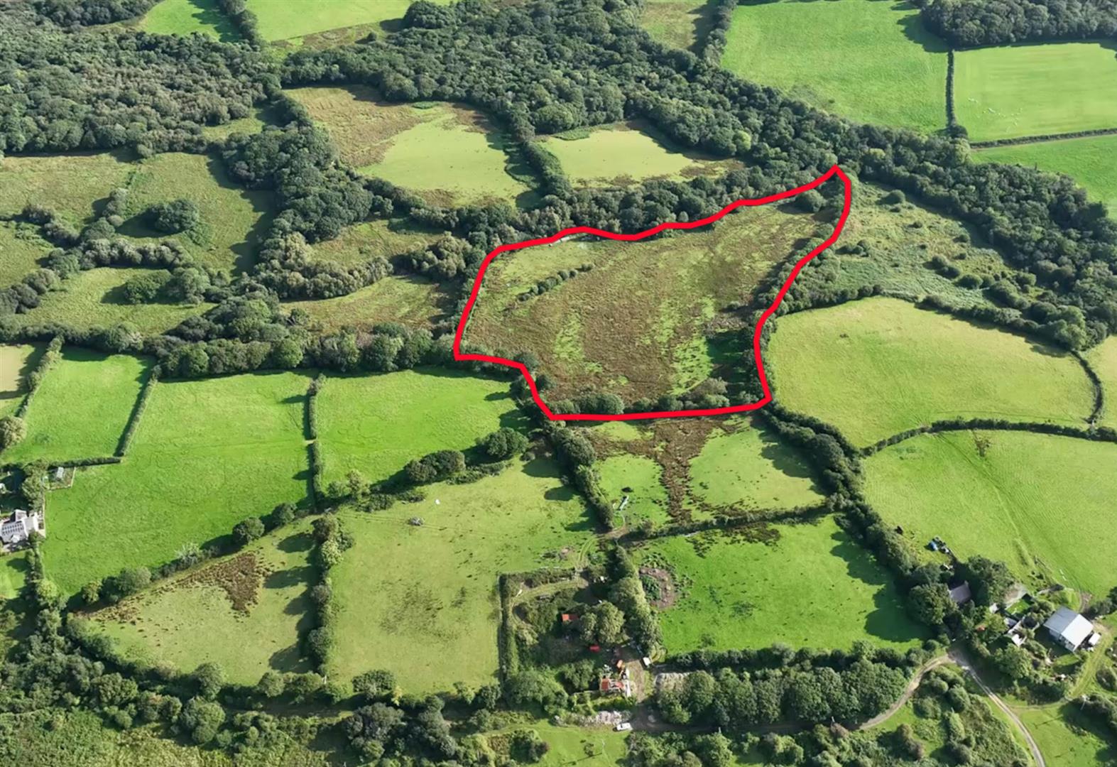 Grazing Land, Middle Hills Image
