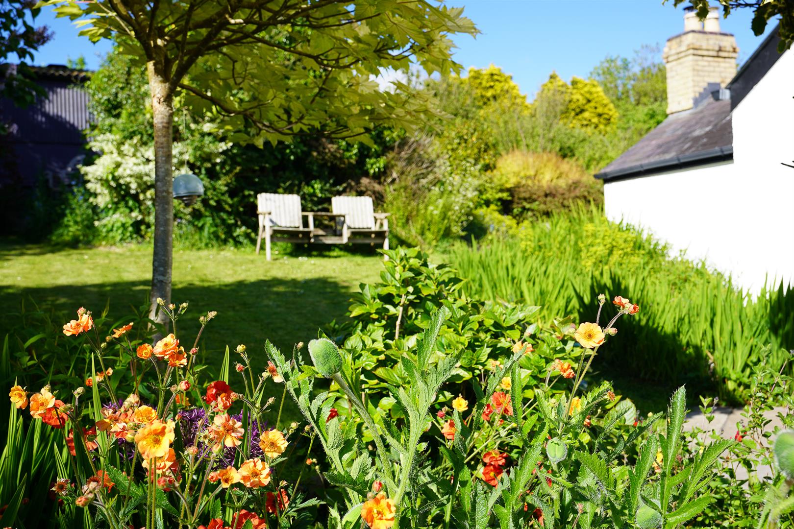 Property Image 62