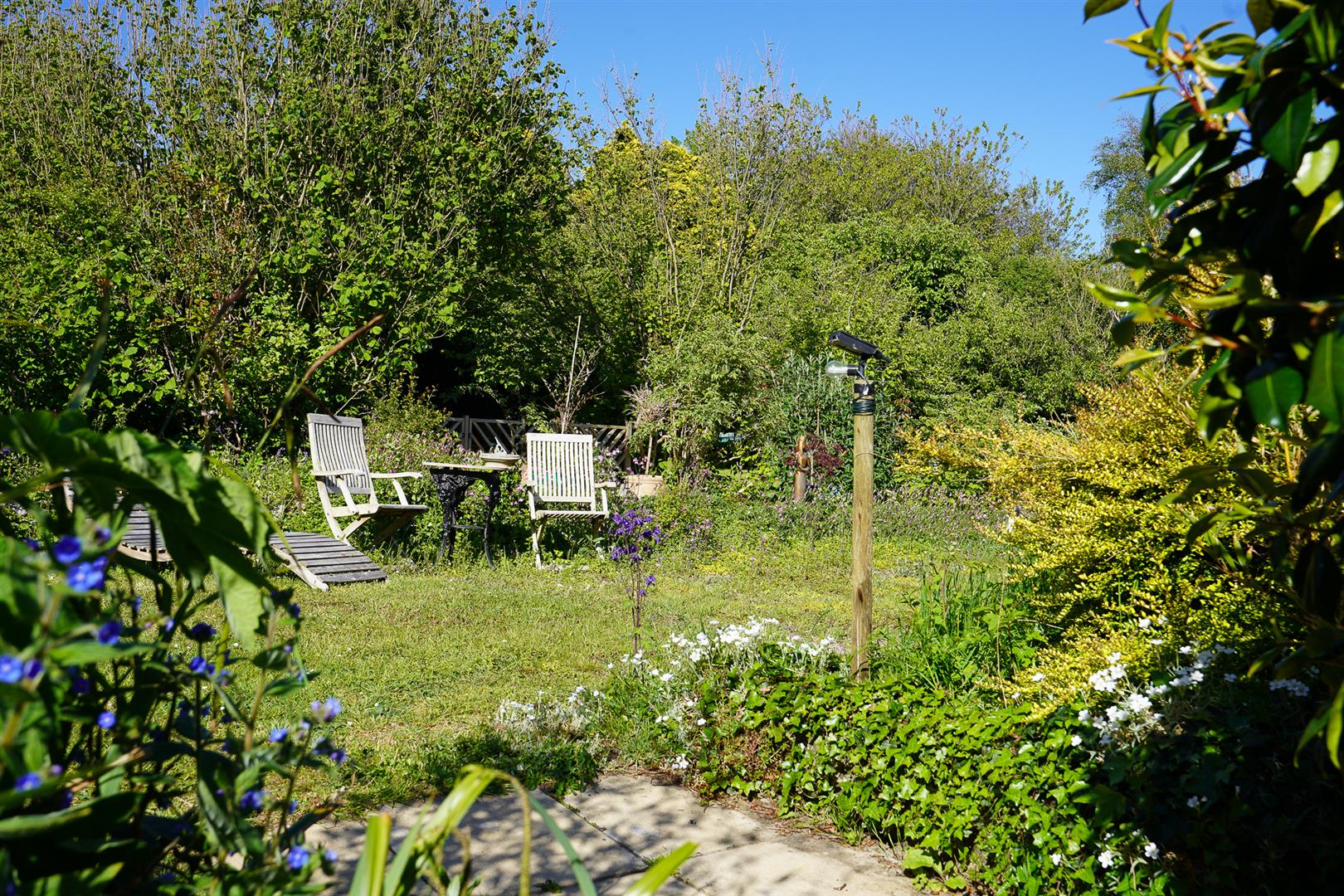 Property Image 65