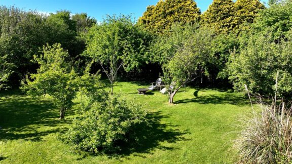 Property Image 73