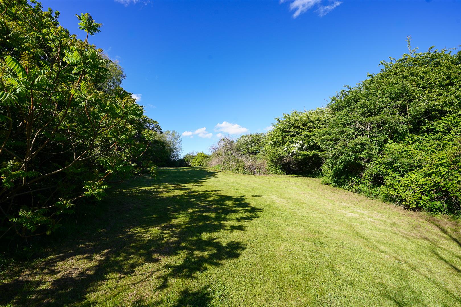 Property Image 82