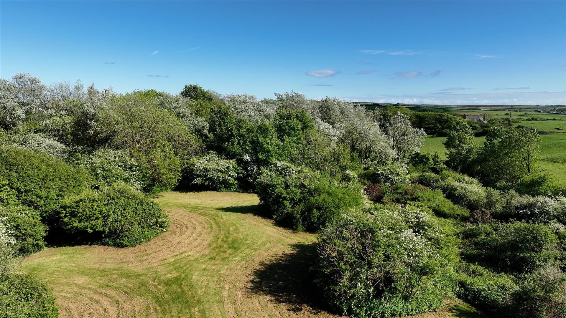 Property Image 86