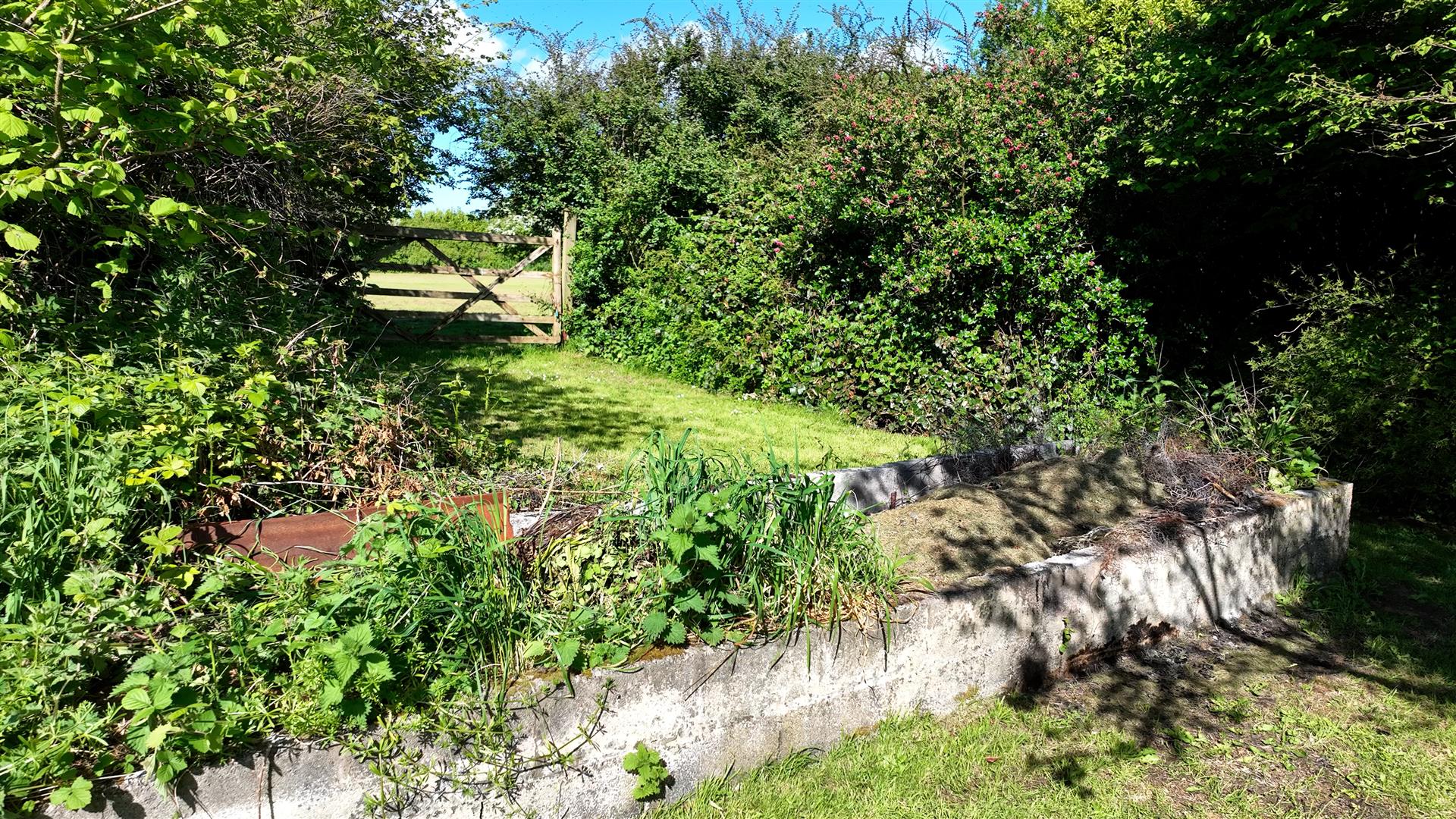 Property Image 88