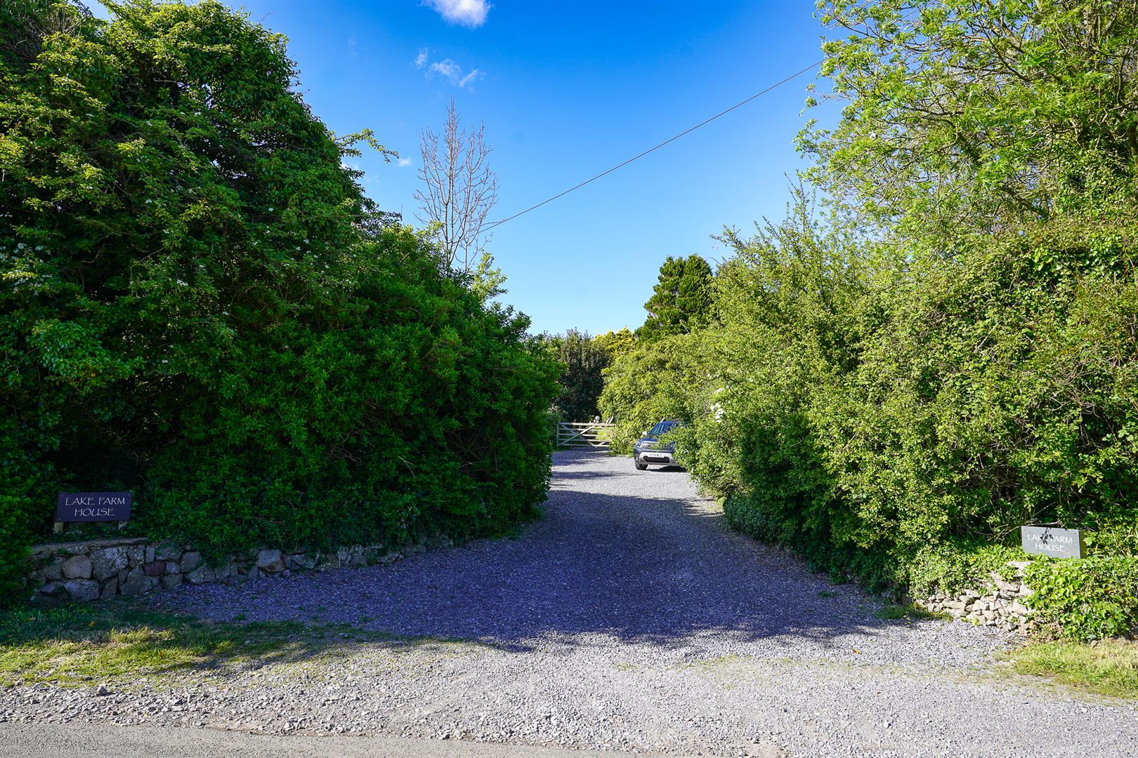 Property Image 89