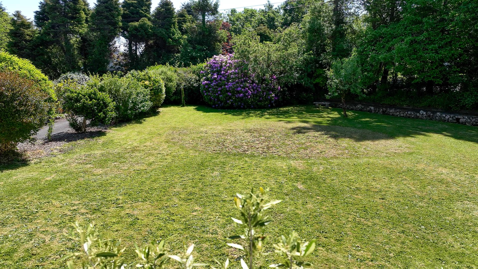 Property Image 39