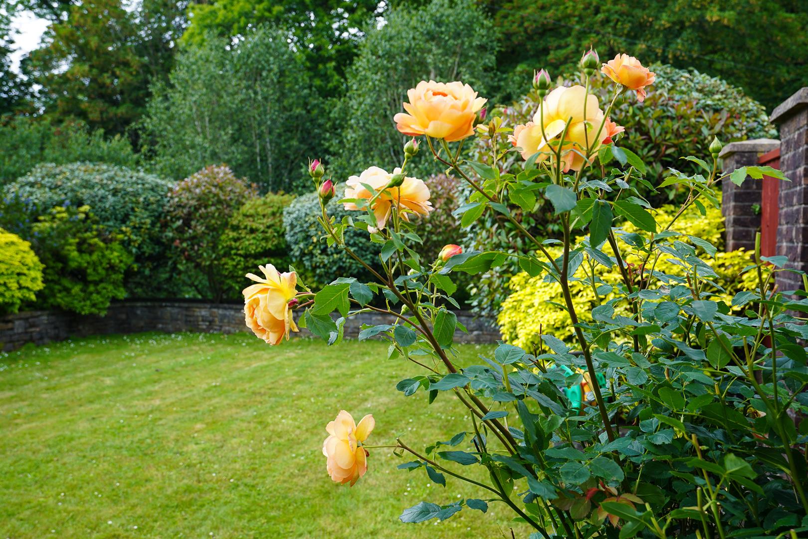 Property Image 43