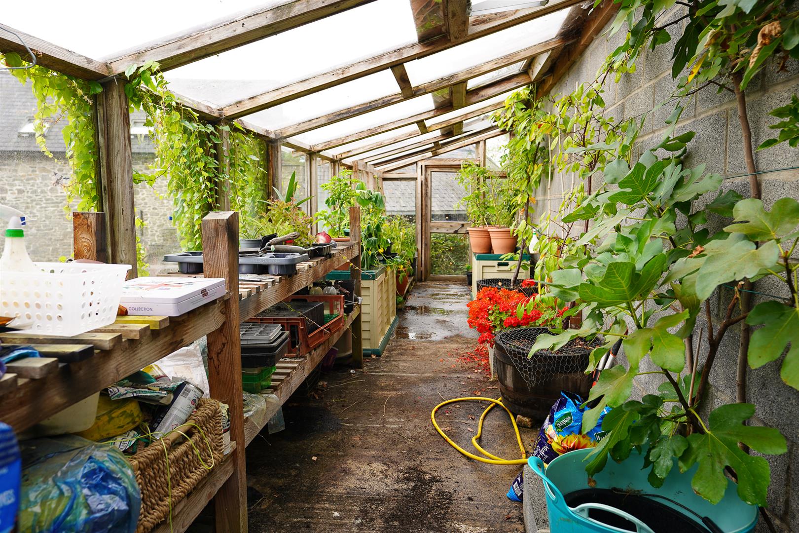 Property Image 57