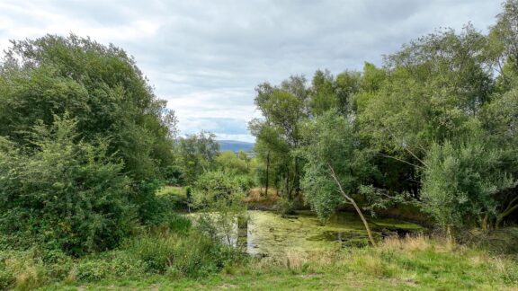 Property Image 67