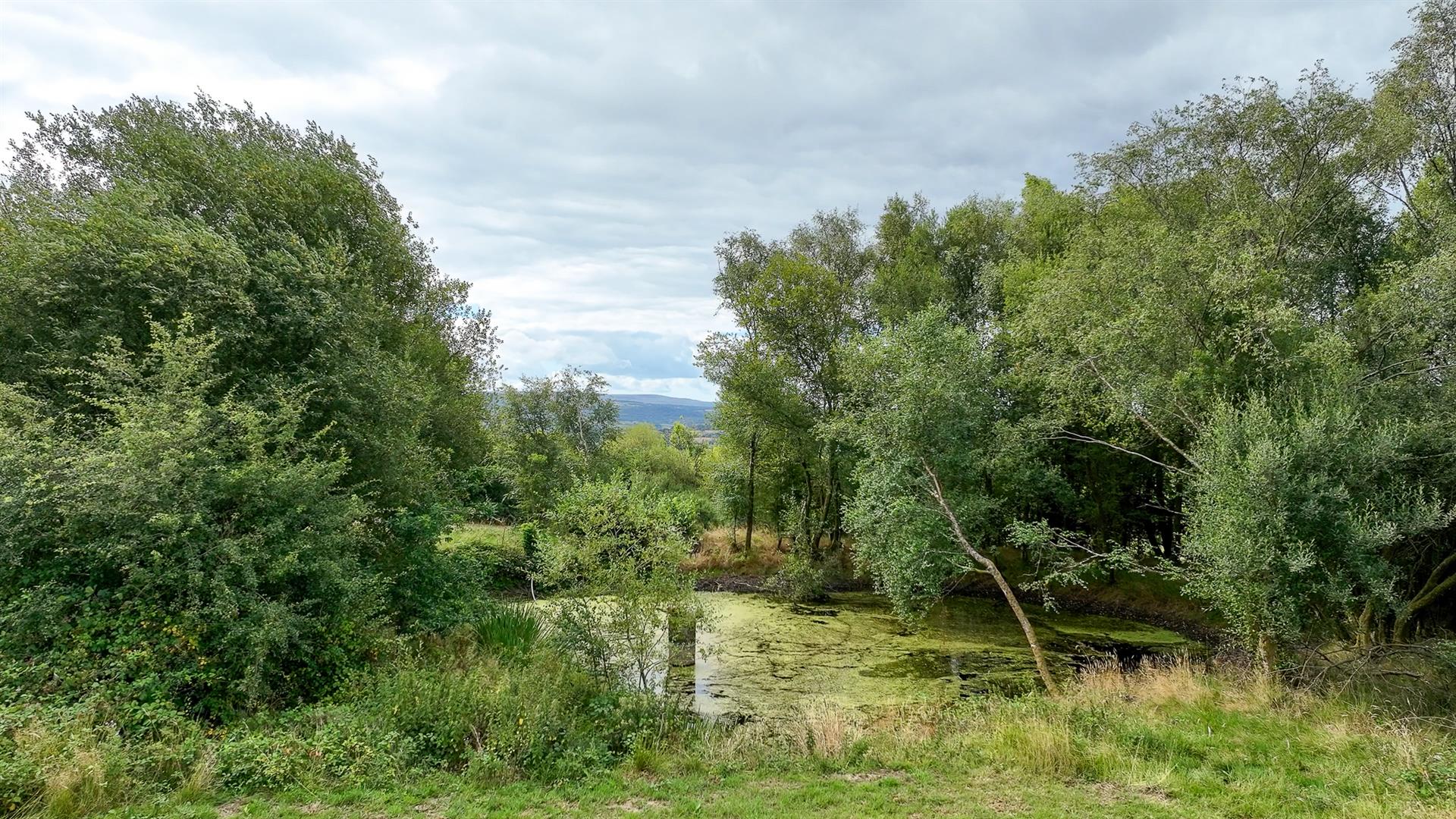 Property Image 67