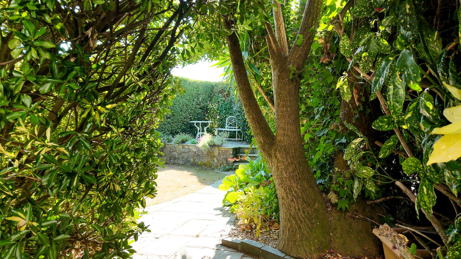 Property Image 52