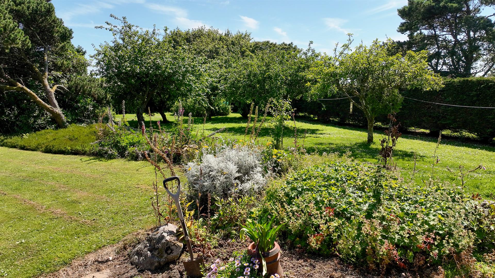 Property Image 47