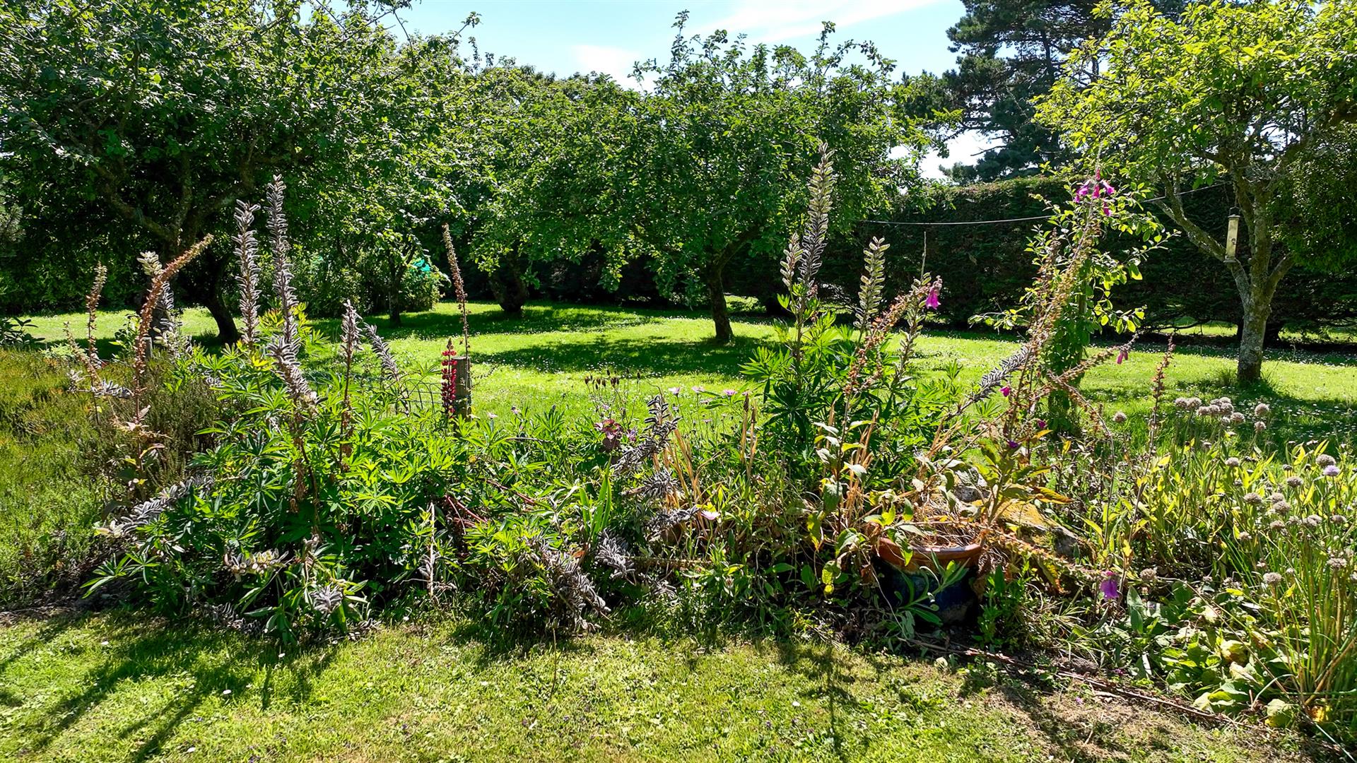 Property Image 48