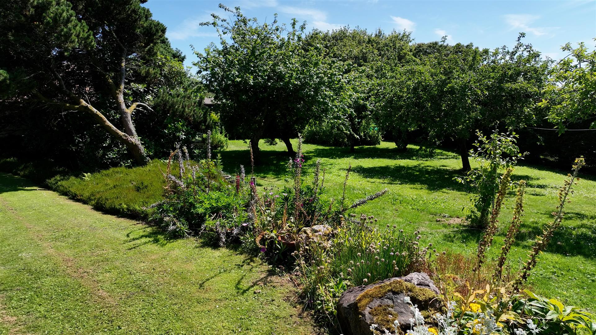 Property Image 49