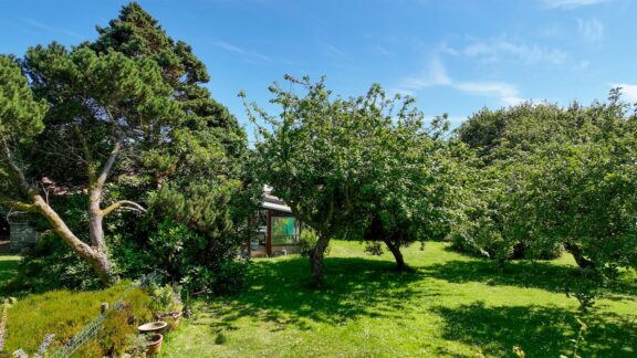 Property Image 54